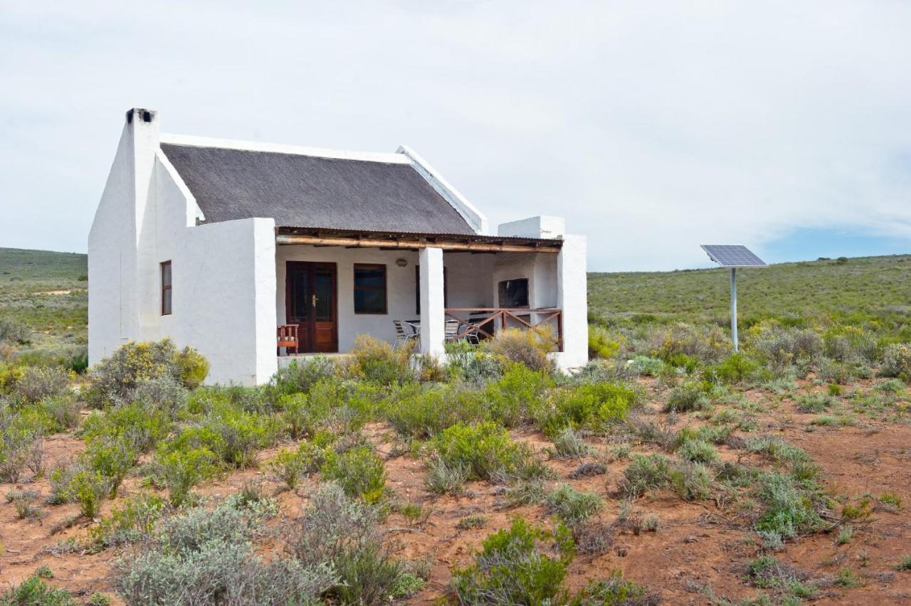 African Game Lodge Montagu Exterior photo