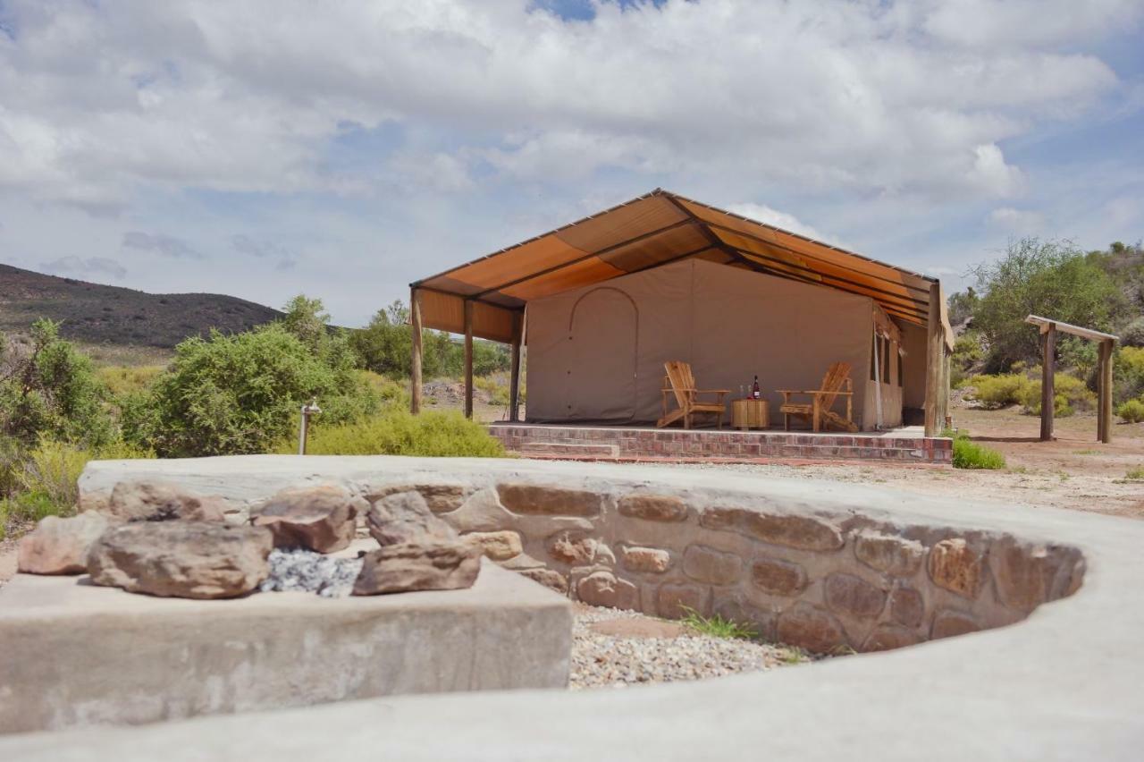 African Game Lodge Montagu Exterior photo